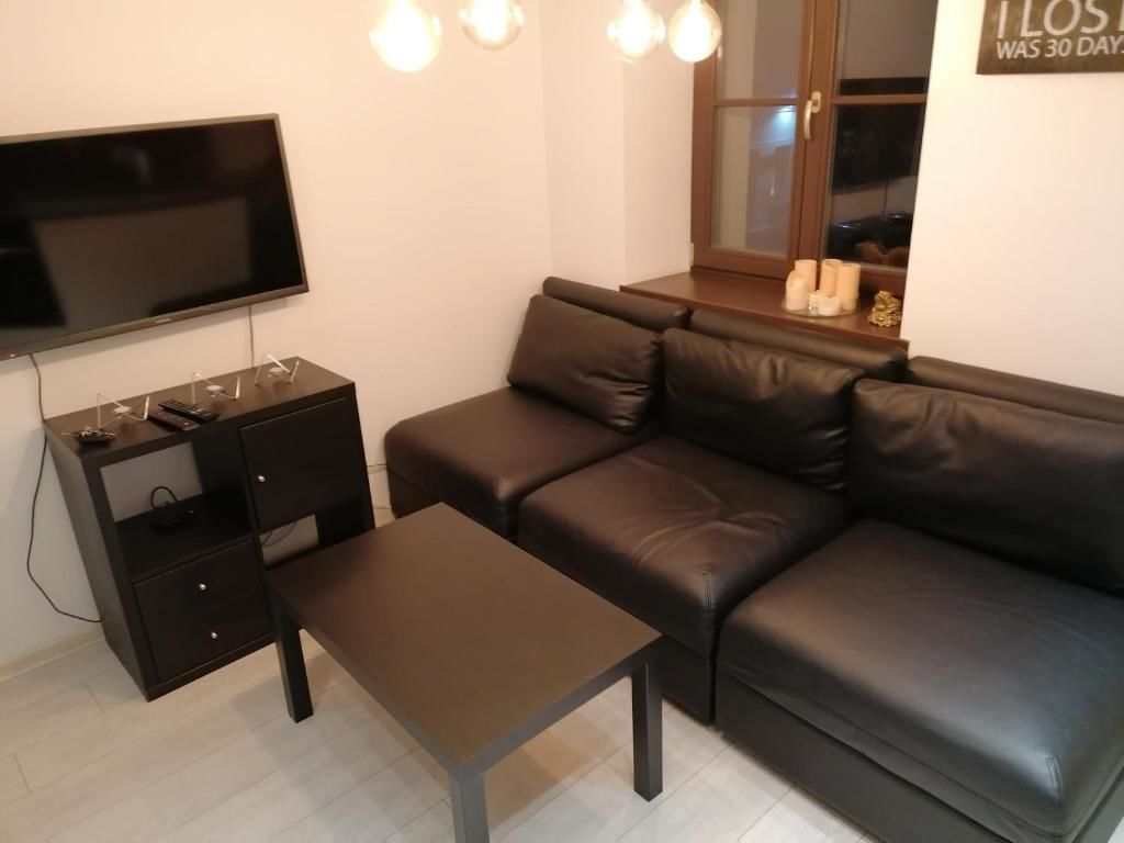 Апартаменты Vikasos apartamentai Каунас-16